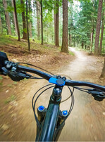 Das Radfahren im Wald außerhalb der Wege ist verboten.