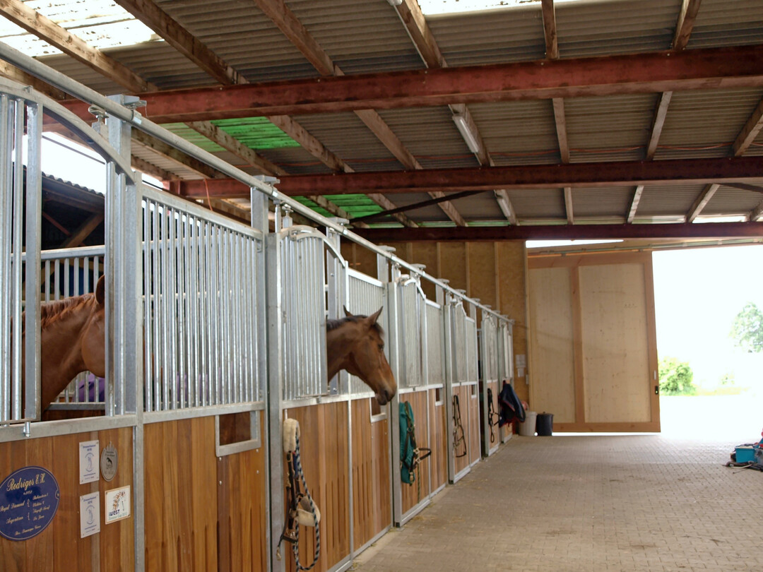 Fr ein gutes Stallklima ist eine ausreichende Belftung unerlsslich. Am einfachsten ist es, die Fenster und das Stalltor aufzumachen  und zwar auch im Winter. Zustzlich verbessern Lftungsschlitze die Luftqualitt.