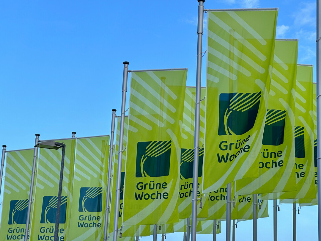 Die Fahnen der Grnen Woche in Berlin mit dem neuen Logo, das seit dem Jahr 2024 zu sehen ist.
