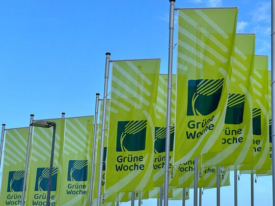 Die Fahnen der Grnen Woche in Berlin mit dem neuen Logo, das seit dem Jahr 2024 zu sehen ist.