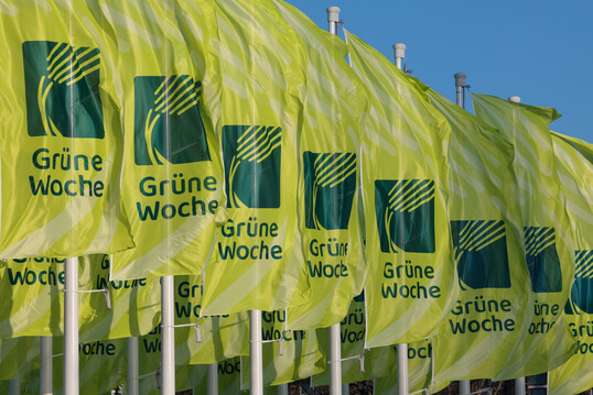 Schmecken, Riechen, Ausprobieren  die Grne Woche 2025 mit allen Sinnen erleben.