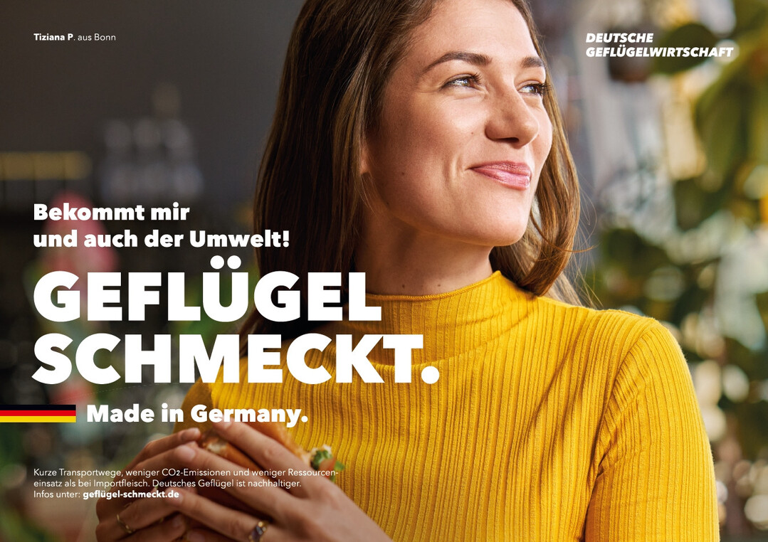  Thema
 koeffizienz