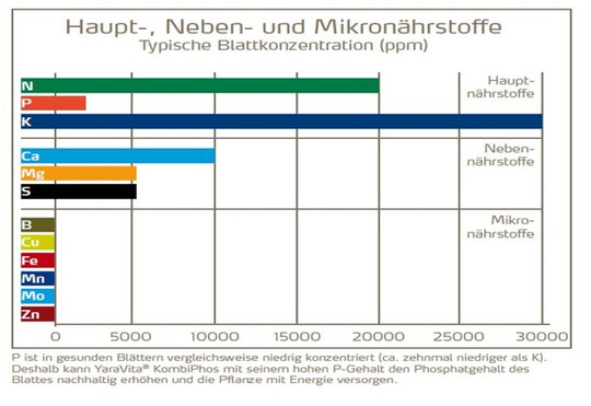 Abb. 1: Typische Blattkonzentration der verschiedenen Nährstoffe in ppm in einem gesunden, vollentwickelten Blatt. Die Hauptnährstoffe sind erwartungsgemäß hoch konzentriert – mit Ausnahme von Phosphat. Die Mikronährstoffe liegen in relativ geringer Konzentration im Blatt vor.