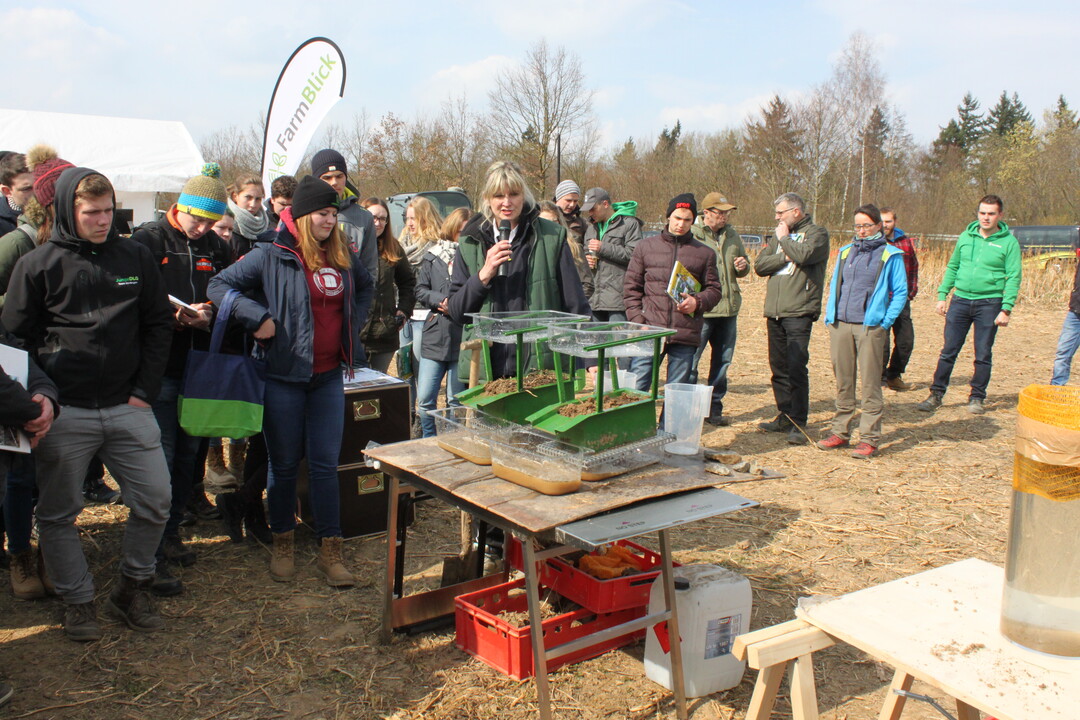 Dieser einfache Versuch veranschaulichte beeindruckend die Vorteile der Bodenbedeckung.