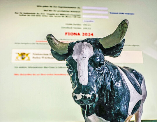 Das Flcheninformation und Online-Antrag (FIONA) fr das Jahr 2025 startet im Mrz.