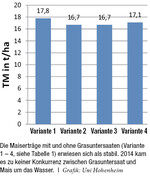 Maiserträge der verschiedenen Varianten