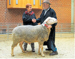 Andrea Burg, Kandel und Dieter Hertler, Deggingen, freuen sich über den Gesamtsieger bei den Merinolandschafen.