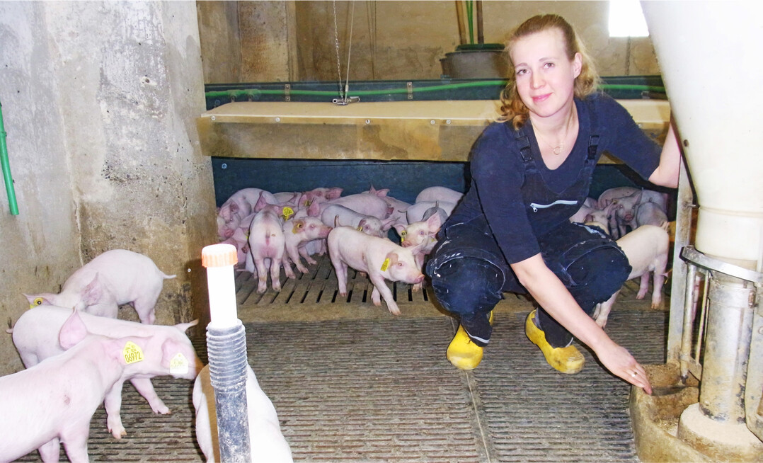 Die ersten 17 Tage nach dem Absetzen verbringen die Ferkel in Buchten mit einer Zonenheizung und offenen Futterschalen. Danach wechseln sie in einen ausgesiedelten Stall. Die räumlich getrennte Aufzucht verhindert, dass nachträglich Erreger auf die Stammherde einwirken", sagt Judith Krauß.