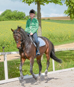 Reitböden sollen rutschfest und auch bei schlechtem Wetter bereitbar sein.