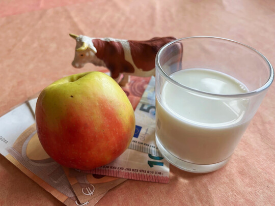 Die Position der Landwirte in der Lebensmittelkette strken und ihre Einkommenssituation verbessern: Mit einer Verschrfung der Artikel 148 und 168 der Gemeinsamen Marktorganisation (GMO) wrde nach berzeugung des Deutschen Raiffeisenverbandes (DRV) genau das Gegenteil erreicht. 