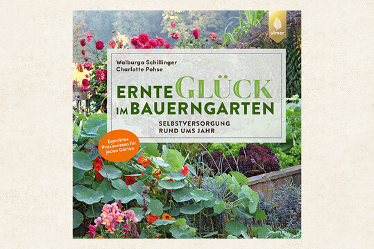 Ernteglck im Bauerngarten.