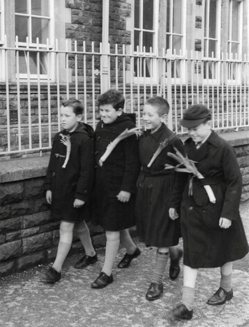 Zum walisischen Nationalfeiertag am 1. Mrz trugen die Kinder bis in die Sechzigerjahre noch eine echte Lauchstange an ihrer Kleidung. Heute sind es kleine Filzanstecker. 