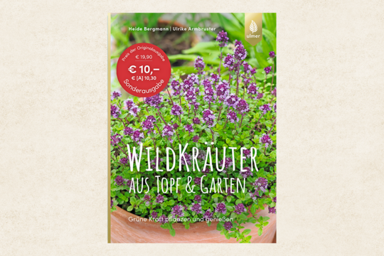 Wildkruter aus Topf und Garten