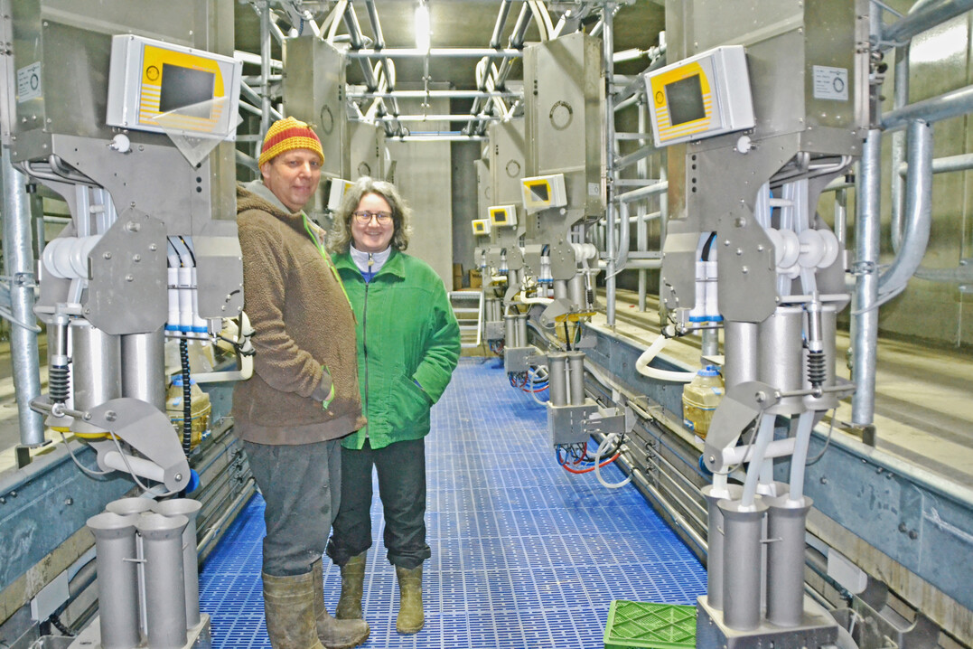 3 Alfred und Silvia Rutschmann setzen auf einen Tandemmelkstand, bei dem neben den Milchkhen auch noch Platz fr ein Kalb wre, sollte es innerhalb der kuhgebundenen Klberaufzucht zu Milchejektionsstrungen bei den Milchkhen kommen.