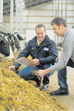 Das Ergänzungsfutter DairyPilot wurde laut Josera erfolgreich an über 6000 Milchkühen getestet.