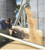 Anfang März wurden die ersten Prognosen zur Getreideernte 2018 veröffentlicht: Für eine echte Ernteschätzung für den EU- und den Weltmarkt ist es allerdings noch zu früh.