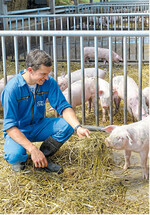 Moderne Haltungssysteme ermöglichen den Tieren den Zugang zu Außenklima und bieten ihnen mehr Platz. Und auch der Landwirt profitiert von seinem neuen Arbeitsumfeld.