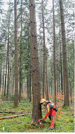 Gerade bei einem Rückhänger bis 1,5 m bringen mechanisch oder hydraulisch betätigte Fällkeile Erleichterung und Sicherheit.