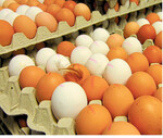 Wachstumsmarkt Eiererzeugung: Der deutsche Selbstversorgungsgrad bei Hühnereiern erreicht gerade mal 70 Prozent.