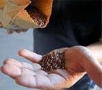 Zukünftig müssen alle Betriebe, die Beizmittel in ihrer Anlage verwenden, die Anforderungen der JKI-Checkliste erfüllen.