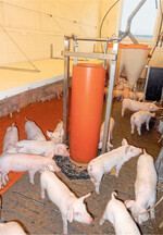 Pellet- oder Raufutterspender erfüllen die neuen Kriterien an die Vorlage von Beschäftigungsmaterial nur zum Teil.