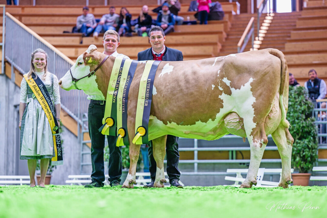 2 Zum Grand Champion Fleckvieh gekrt wurde die Edelstein-Tochter My-Life aus der Zucht von Joachim Keller aus Allmendingen.