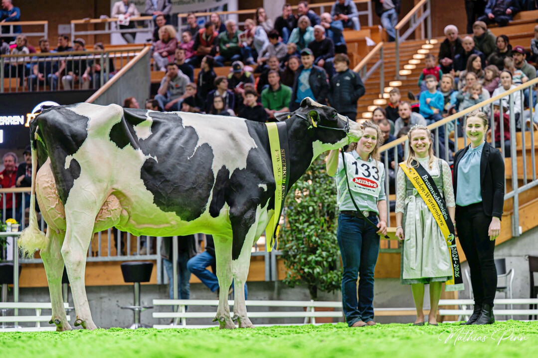 3 Grand Champion bei den Holsteinkhen wurde die Stars-Tochter Mox Argentina aus der Zucht der Markus und Kerstin Mock GbR aus Markdorf.