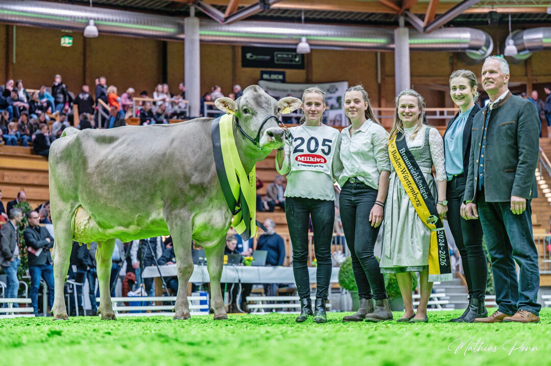 4 Grand Champion bei den Brown Swiss-Khen wurde die Brownstar-Tochter RAUs BahamaMama aus der Zucht von Ernst Rau aus Ebersbach.