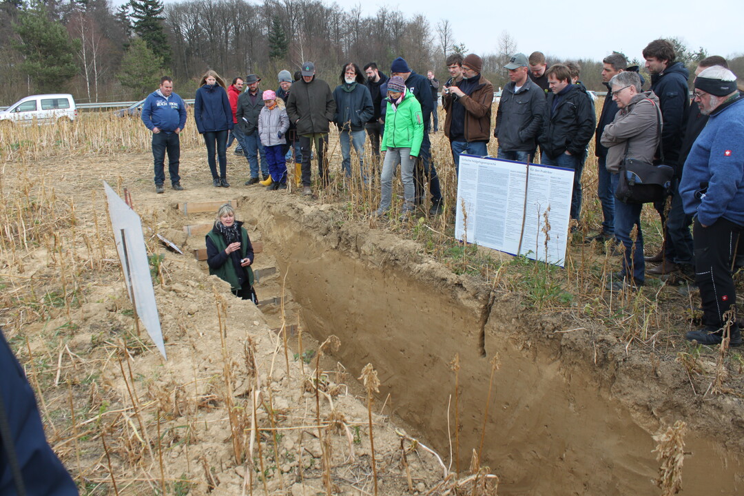 Am Bodenprofil konnte man einen Blick in den Boden werfen. Zu sehen war eine kalkreiche Pararendzina mit niedrigem pH-Wert. Der mittelgute Standort hat einen geringen A-Horizont mit einer Auflage von 5 bis 10 Zentimetern.
