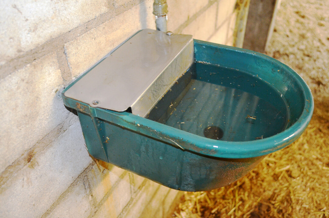 3 Einzeltrnken mit Schwimmerventil sind pferdefreundlich, mssen aber regelmig genutzt werden, damit das Wasser nicht verunreinigt.