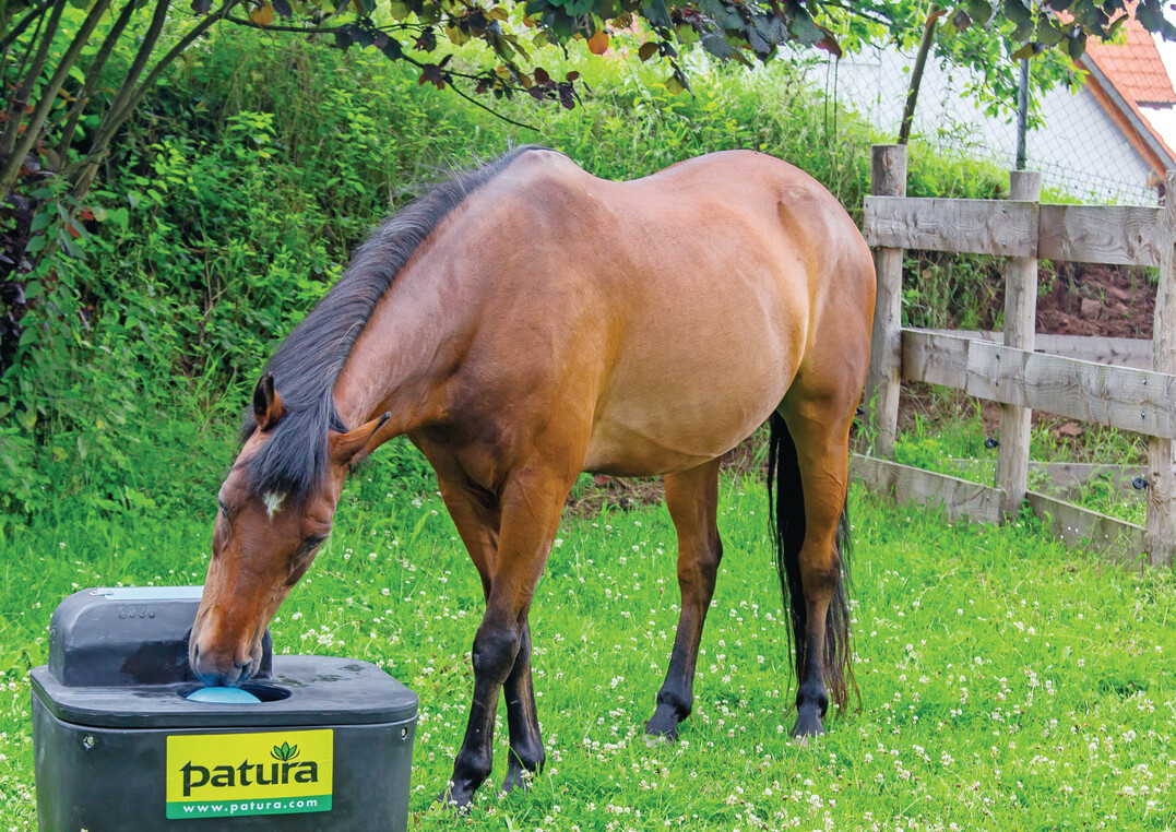 9 Bei dieser Trnke muss das Pferd einen Ball mit der Nase wegschieben, um an das Wasser zu gelangen.