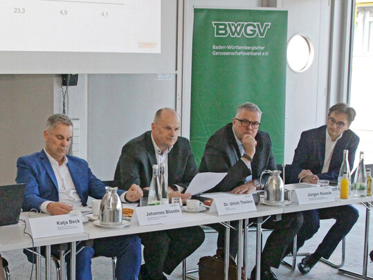 Die Vertreter der genossenschaftlichen Obst- und Gemsevermarkter bei der Pressekonferenz in Karlsruhe, v.l.: Johannes Bliestle, Dr. Ulrich Theileis, Jrgen Nssle und Pressesprecher Marcus Gernsbeck. 