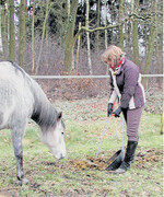Auf viel betretenen Flächen und kleinen Ausläufen reduziert Abäppeln den Parasitendruck.