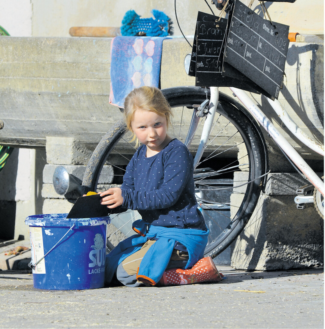 bild der woche Beim Urlaub auf dem Bauernhof dürfen vielfach Kinder mitschaffen. Hier hat der Bauer eine Aufgabe für Helene gefunden, die sie mit ihren sechs Jahren gut selbstständig erledigen kann und die ihr Freude macht. Sie reinigt die Kuhschilder.