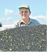 Die erfreuliche Entwicklung der Rapspreise seit der letzten Ernte hat einen Dämpfer bekommen: Die Sojaschwemme bremst.