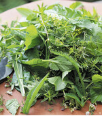 Die frische Kräuterernte liegt zur weiteren Bearbeitung auf dem Küchentisch.