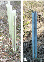 Als Einzelpflanzenschutz haben sich Tubex-Wuchshüllen bewährt. Sie verkürzen die Pflegezeiten durch beschleunigtes Wachstum, verringern die Spätfrostgefahr und verbessern die Auffindbarkeit der Pflanzen bei Pflegemaßnahmen. Es gibt zwei Ausführungen: eine leichte (1a) und eine schwere mit Kabelbinder (1b).