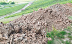 Aufschüttungen oder Abgrabungen im Weinberg sollten vorab immer mit den zuständigen Behörden abgestimmt werden.