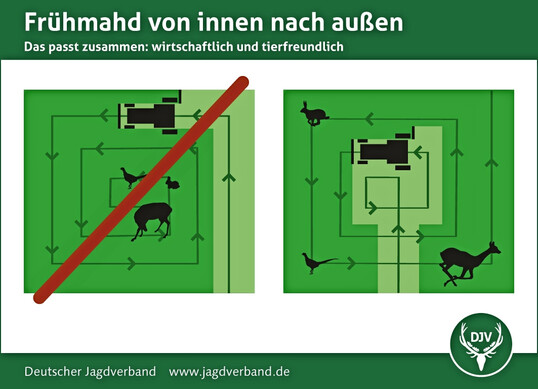 Frhmahd von innen nach auen