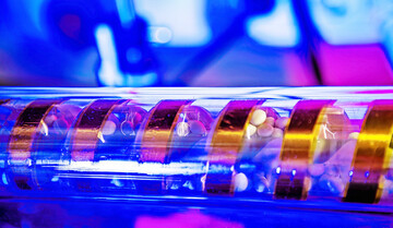 Lupinen Samen werden mithilfe einer direkten Plasmabehandlung von schädlichen Mikroorganismen befreit. Das Projekt Physics for Food untersucht verschiedene Plasmaverfahren für den Einsatz in der Saatguthygiene.