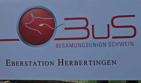 Die Besamungsunion Schwein verzichtet auf ihren Eberstationen im Bundesgebiet knftig auf Nacht- und Sonntagsarbeit.