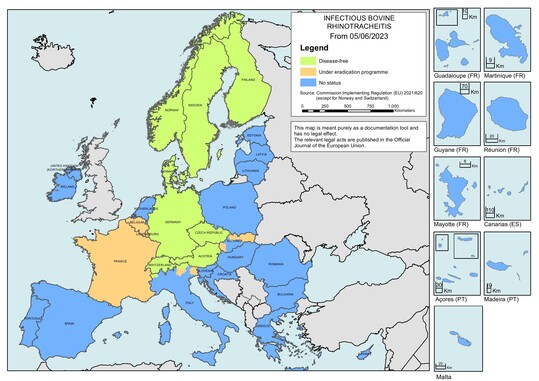 Abb. 1: Stand der IBR-Bekämpfung in den EU-Mitgliedsstaaten
Von grün bis blau: Die farblich markierten Flächen bedeuten im Einzelnen: Grün: freie Gebiete; Gelb: Gebiete mit Tilgungsprogramm; Blau: Keine Bekämpfung