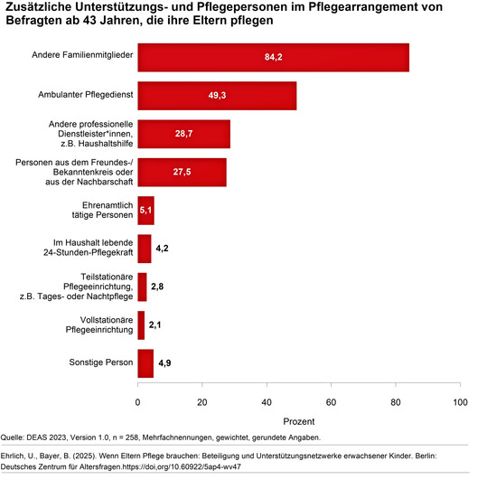Grafik zu Beteiligung und Untersttzungsnetzwerken erwachsener Kinder, die ihre Eltern pflegen.