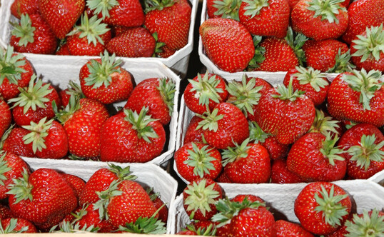 Rot, süß und frisch vom Feld: So kommen Erdbeeren überall gut an.