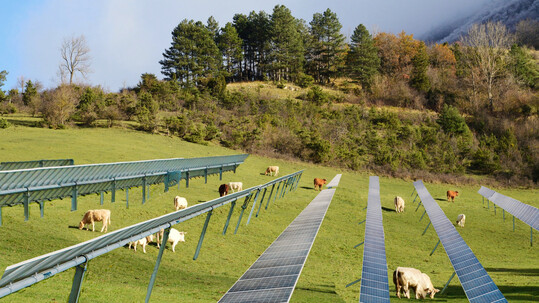 Die Forschenden zeigten den Befragten Bilder von landwirtschaftlich genutzten Flchen und identischer Landschaftsszenen, in die sie zum Vergleich Solarpaneele einmontiert hatten.