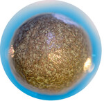 Hohlkugel mit Pilzenzymen. Die Enzymreaktion (blaue Corona) ist mit einem Farbstoff sichtbar gemacht.