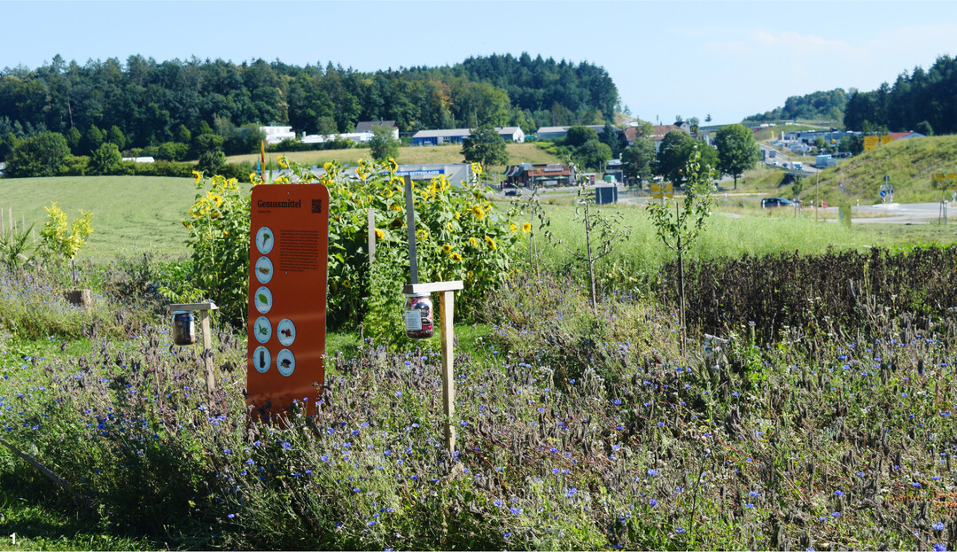 Erklärschilder und Lernstationen unterstützen den Rundgang über die 2000 m².