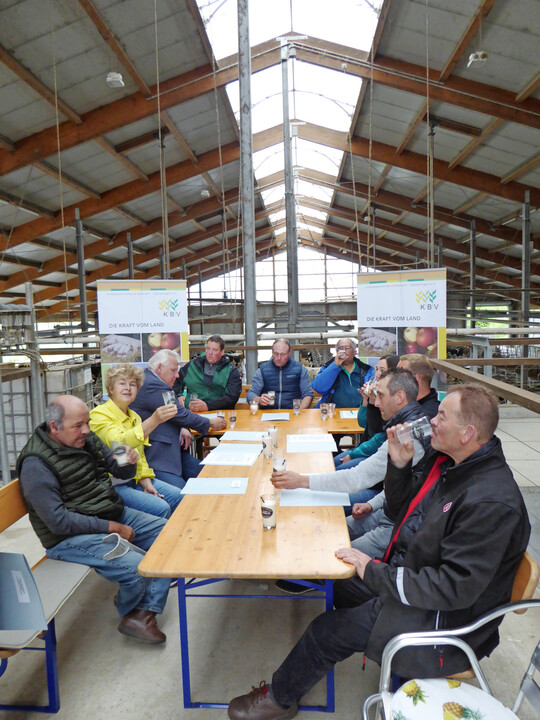 Gute Stimmung beim Pressegesprch zum Tag der Milch im Landkreis Biberach auf dem Betrieb von Familie Egle.