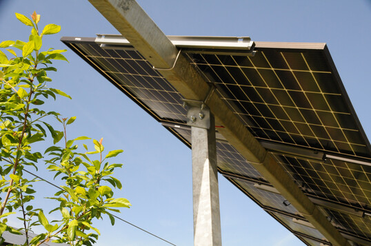 Agri-PV-Anlage ber Apfel, Zwetschge, Birne und Kiwi sowie Brombeeren und Kiwibeeren.