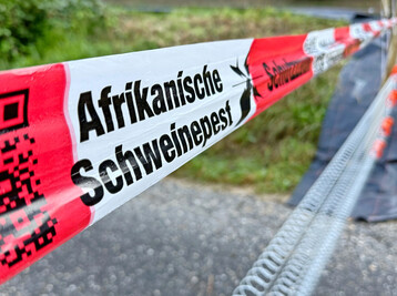 Manahmen um die Verbreitung der Afrikanischen Schweinepest zu verhindern.